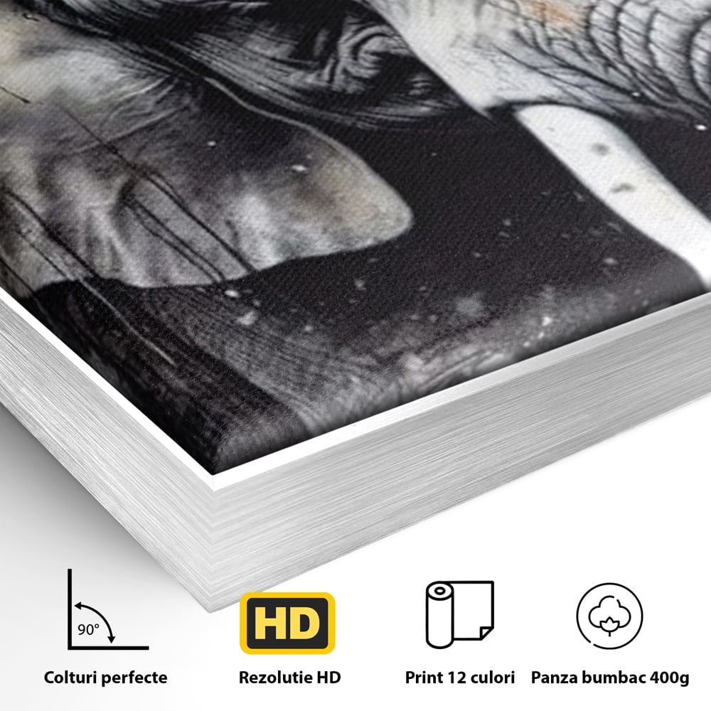Detaliu al suprafetei: tablou canvas cu cap de elefant, in rama de aluminiu argintiu